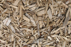 biomass boilers Thirlestane